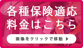 各種保険適応料金