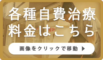 各種自費治療料金